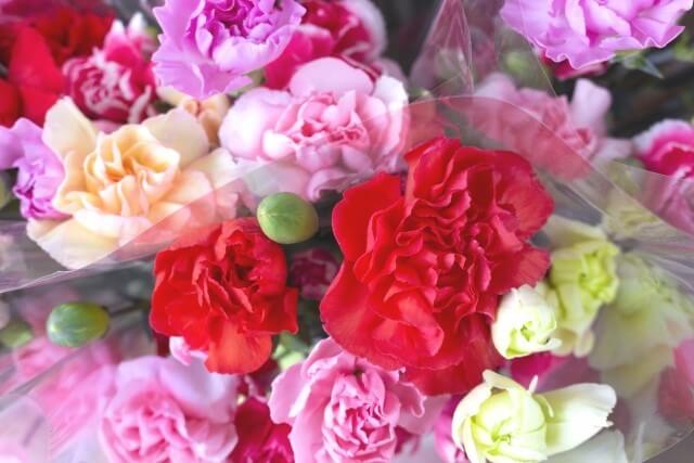 carnation_of_the_mothers_day03