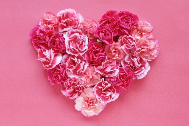 flower_of_the_mothers_day01