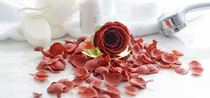 バスグッズ - 京王ネットショッピング | 京王百貨店