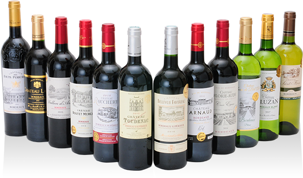 格上ワイン2本入金賞受賞ボルドー赤白ワイン12本セット