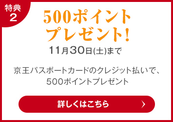 500ポイントプレゼント 11/30(土)まで京王パスポートカードのクレジット払いで、500ポイントプレゼント 詳しくはこちら