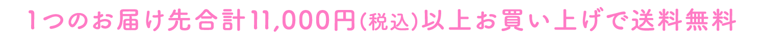 1つのお届け先に11,000円(税込)以上お買い上げで送料無料