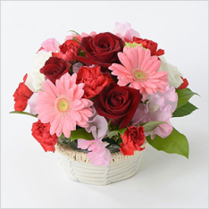 アレンジメント