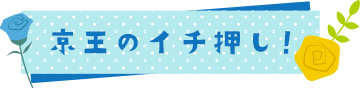 ピックアップ