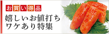 お買い得品 嬉しいお値打ち ワケあり特集