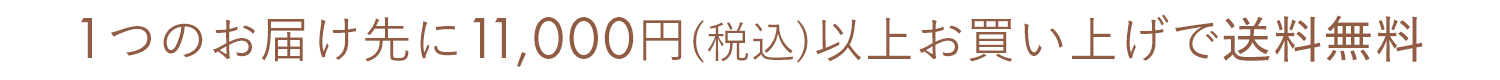 1つのお届け先に11,000円(税込)以上お買い上げで送料無料