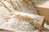 お香典返し・ご返礼品の「米・乾麺」は京王ネットショッピング
