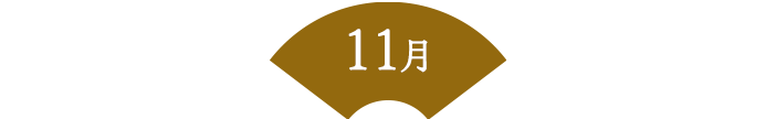 11月