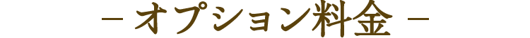 オプション料金