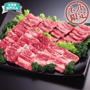 【ネット限定】佐賀牛と熊本あか牛　焼肉セット　SAY10045R　直送品