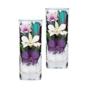 【盆提灯】<プリエール>No.7991A プリエールSSA(一対入)[蘭]　