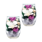 【盆提灯】<プリエール>No.7935N プリエールS(一対入)[蘭・スターチス]　