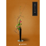 万葉　しらつゆ