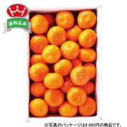 ［新宿高野］みかん　５１２００