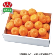 ［築地定松］定松セレクトみかん２．５ｋｇ