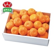 ［築地定松］定松セレクトみかん５ｋｇ