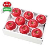 ［築地定松］サンふじりんご８個