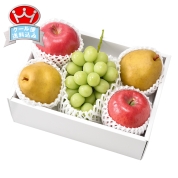 ［築地定松］シャインマスカット＆旬果詰合せ