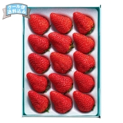［新宿高野］ストロベリー　５２１０８