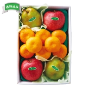 ［新宿高野］ウィンターフルーツＢ　５３３３４