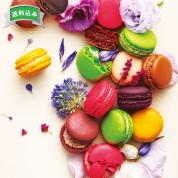 ［ダロワイヨ］季節のマカロン入り　１４個入　２５ＷＭＳ３０