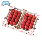 ［築地定松］ミガキ苺