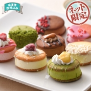 【ネット限定】クレーム デ ラ クレーム　ラングドシャサンドアイス　SA-01　直送品