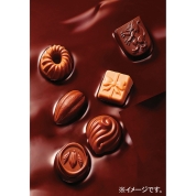 ［ゴンチャロフ］ショコラセッション　ＣＨＳ－ＡＪＪＪ