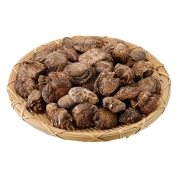 ［宮特椎茸］乾椎茸　どんこ