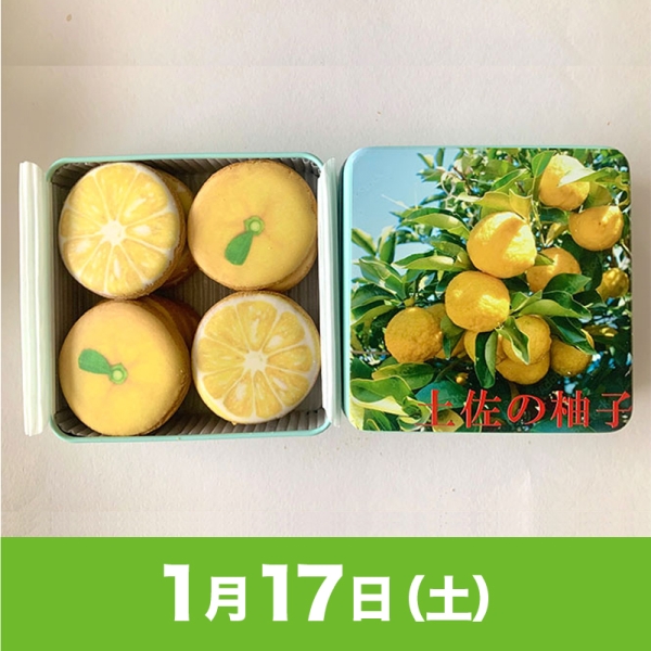 採れたて夏蜜柑柚子セット「1299円‼️」 駅弁大会】01/17受取 ［アンファン］土佐の柚子クッキー缶 - 京王