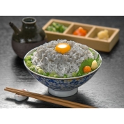 【父の日】大分産 生しらす・釜揚げしらす丼セット