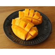 【母の日】[築地定松]宮崎マンゴー