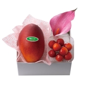 【母の日】[新宿高野]宮崎マンゴー＆さくらんぼセット