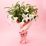 【母の日】[フローレット]カサブランカブーケ