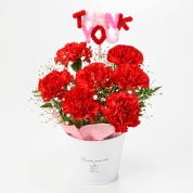 【母の日】[フローレット]カーネーションアレンジメント（レッド）