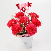 【母の日】[フローレット]カーネーションアレンジメント（ディープピンク）