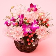 【母の日】[フローレット]FLORETアレンジメント（ピンク）