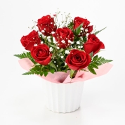 【母の日】[フローレット]ローズアレンジメント（レッド）