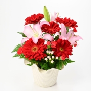 【母の日】[フローレット]フリルハットアレンジメント（レッド）