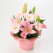 【母の日】[フローレット]フリルハットアレンジメント（ピンク）