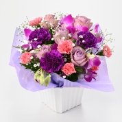 【母の日】[フローレット]プリンセスバイオレット（バイオレット）