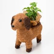 【母の日】[フローレット]ボタニカルアニマル　ダックス