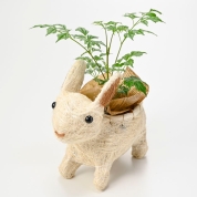 【母の日】[フローレット]ボタニカルアニマル　ラビット