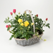 【母の日】[フローレット]アンティークバスケット　ミニバラ寄せ