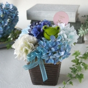 【母の日】[パルク・フローラル]アジサイの鉢植え風アレンジ（ブルー/カエル）