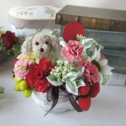 【母の日】[パルク・フローラル]プードル入カーネーションバスケットアレンジ