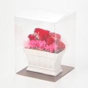 【母の日】[リッシュドフルール]プリザーブドフラワー(舟形陶器)（レッド）