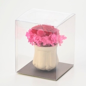 【母の日】[リッシュドフルール]プリザーブドフラワー(陶器)（レッド）