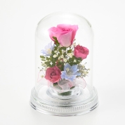 【母の日】[リッシュドフルール]レンデフロール(ガラスドームドライフラワー)（ピンク）