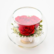 【母の日】[リッシュドフルール]レンデフロール(半円形ドライフラワー)（レッド）